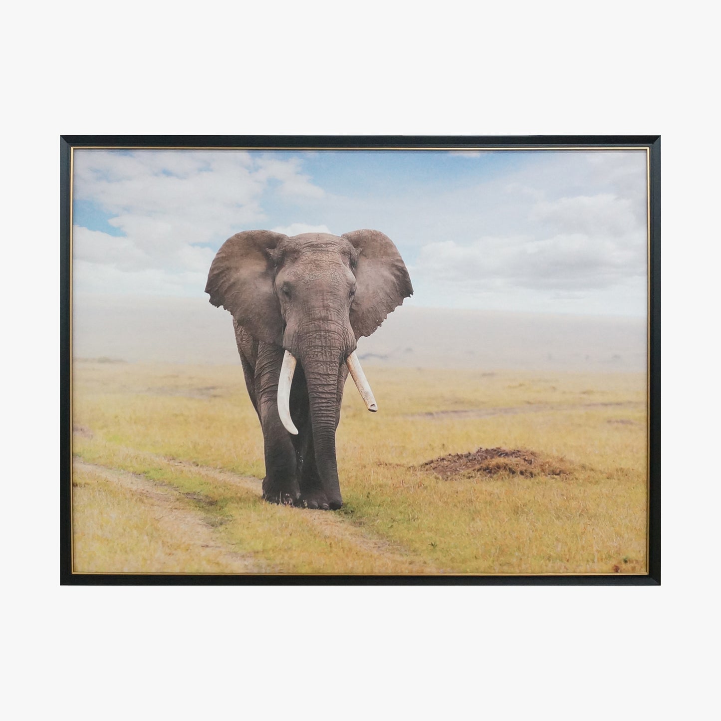 Crystal Painting - Elephants in Grassland