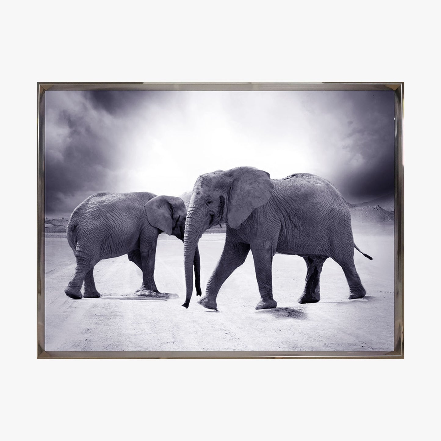 Crystal Painting - Elephant - Black & White