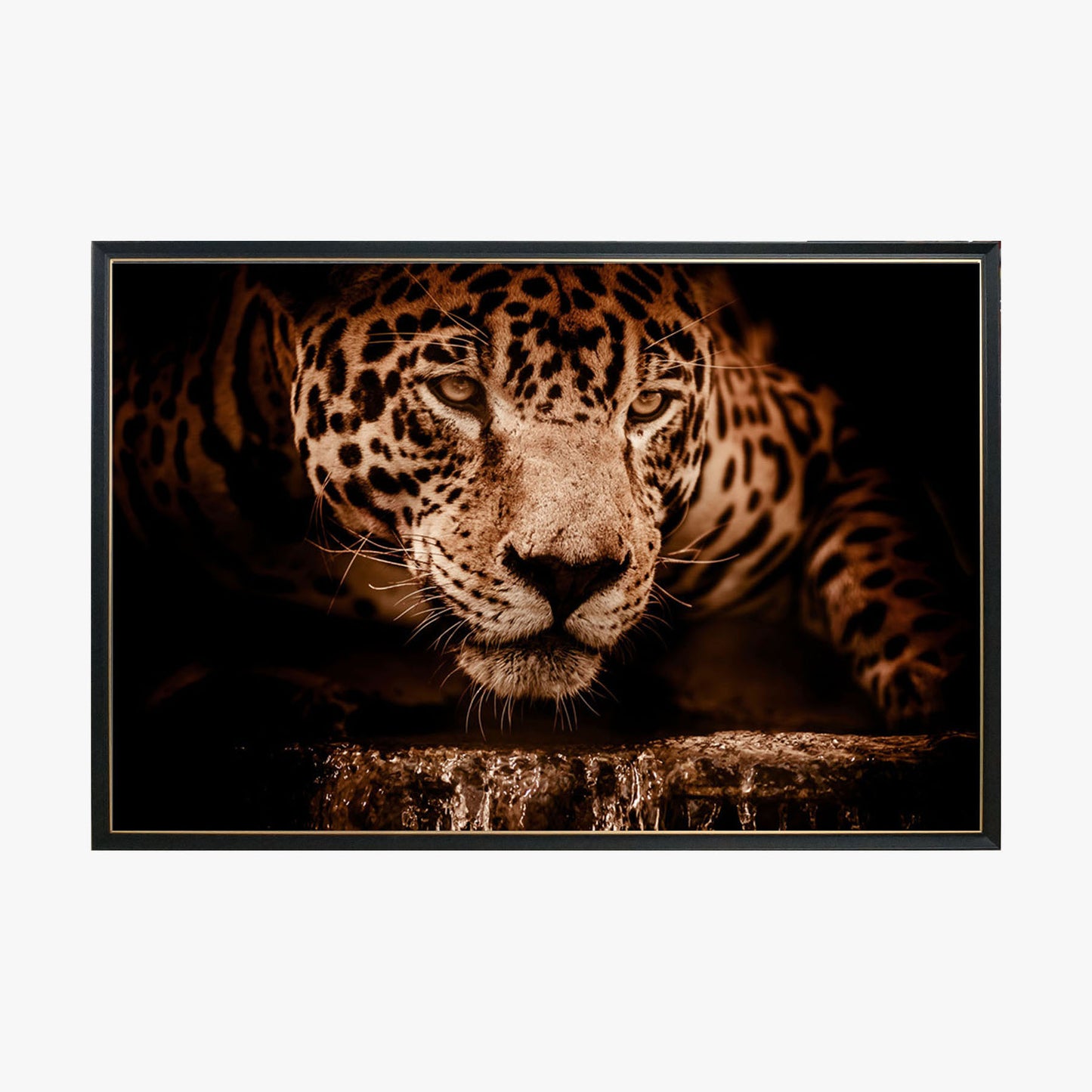 Crystal Painting - Panther