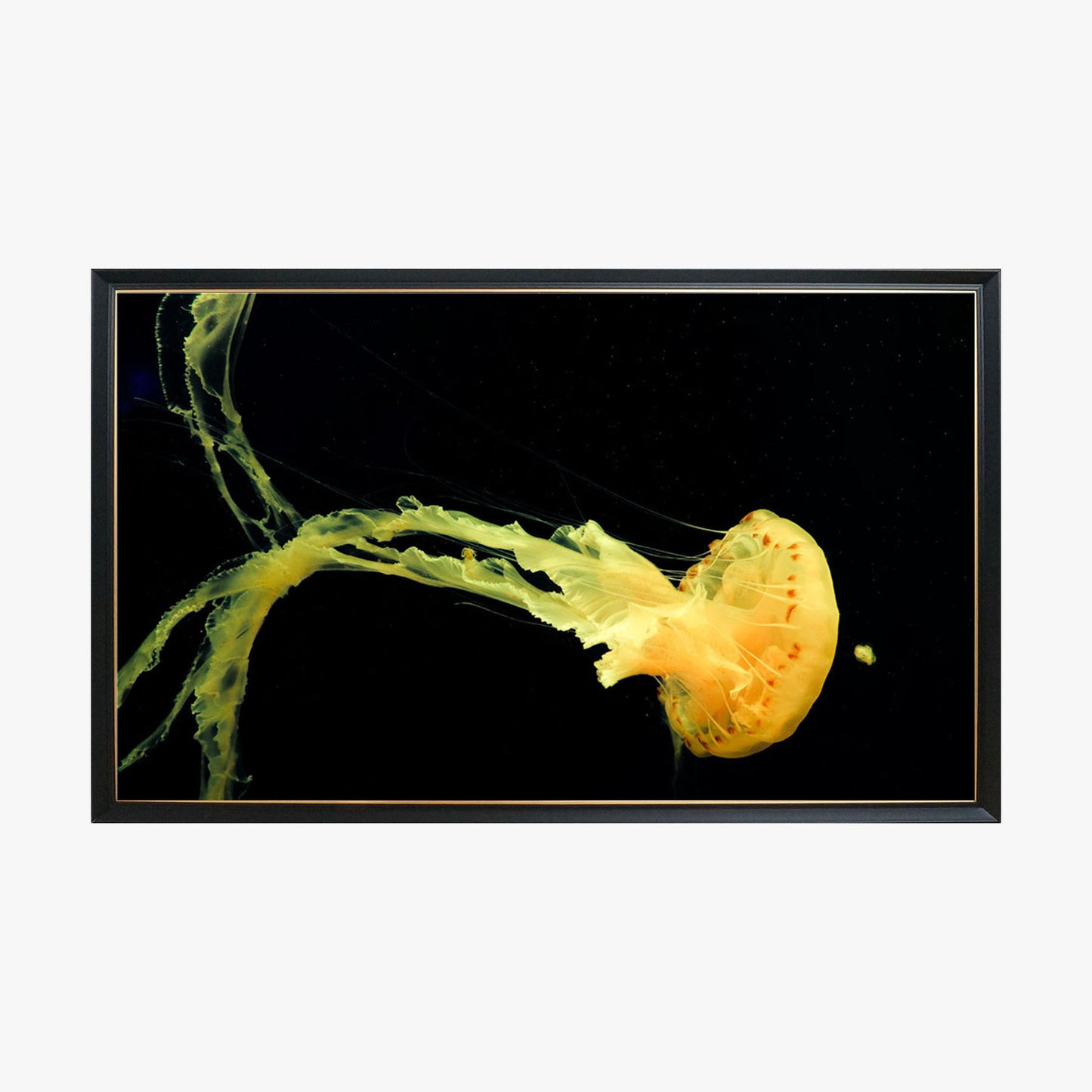 Crystal Painting - Jellyfish, Yellow