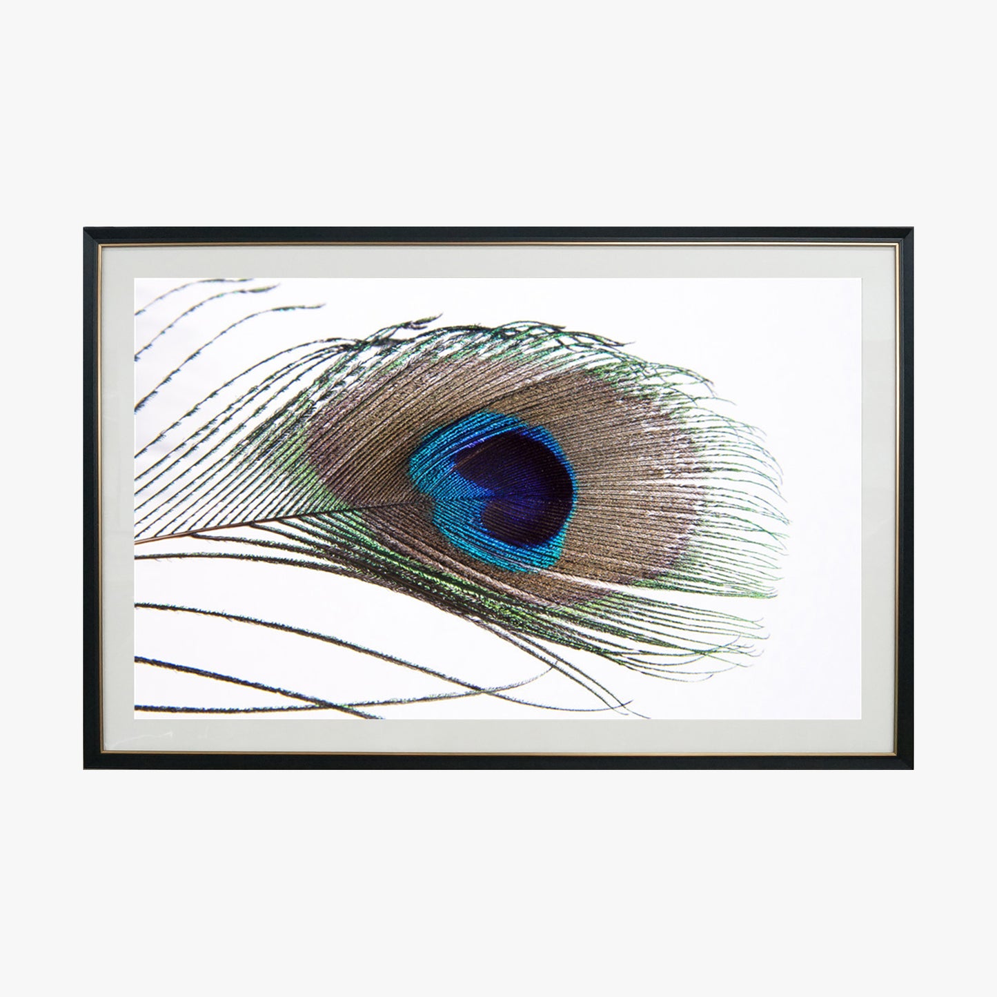 Crystal Painting - Peacock Feather