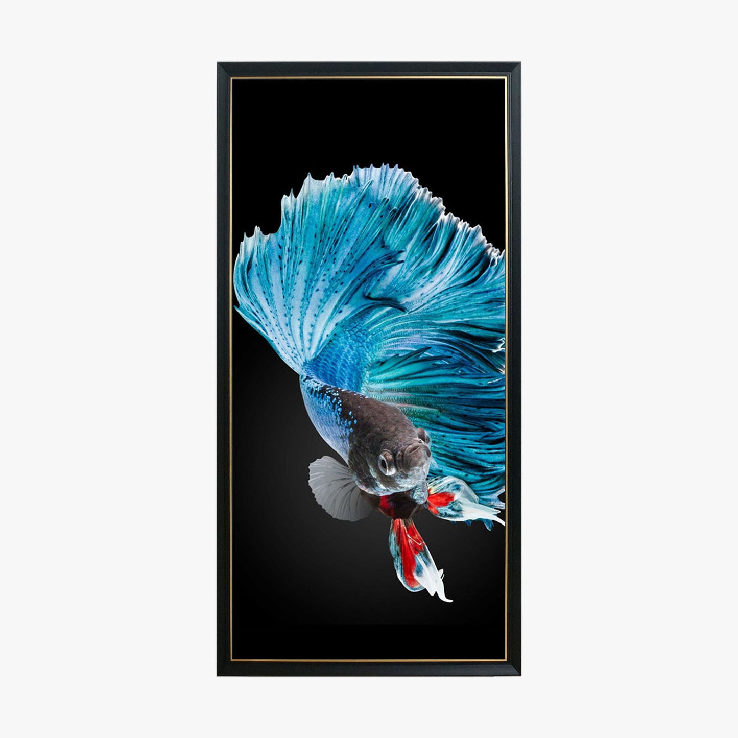 Crystal Painting - Goldfish