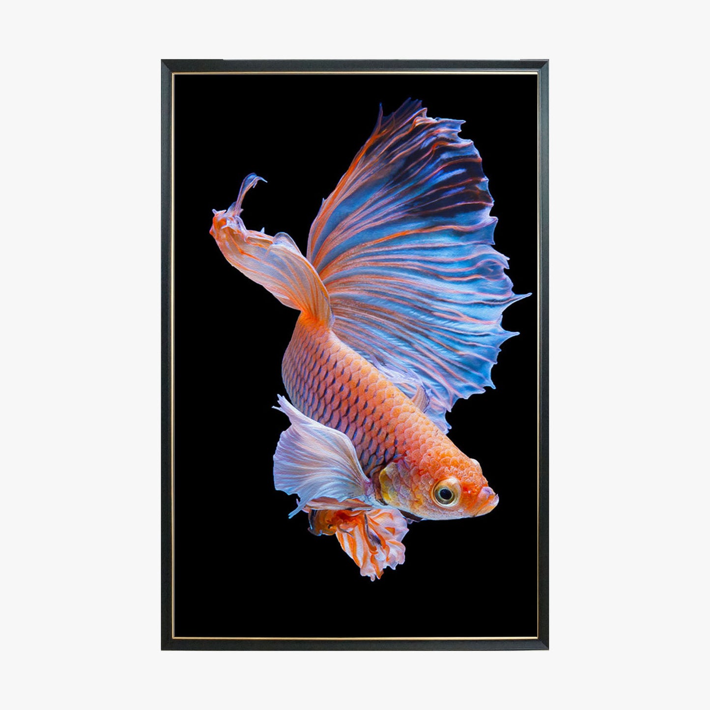 Crystal Painting - Red Goldfish