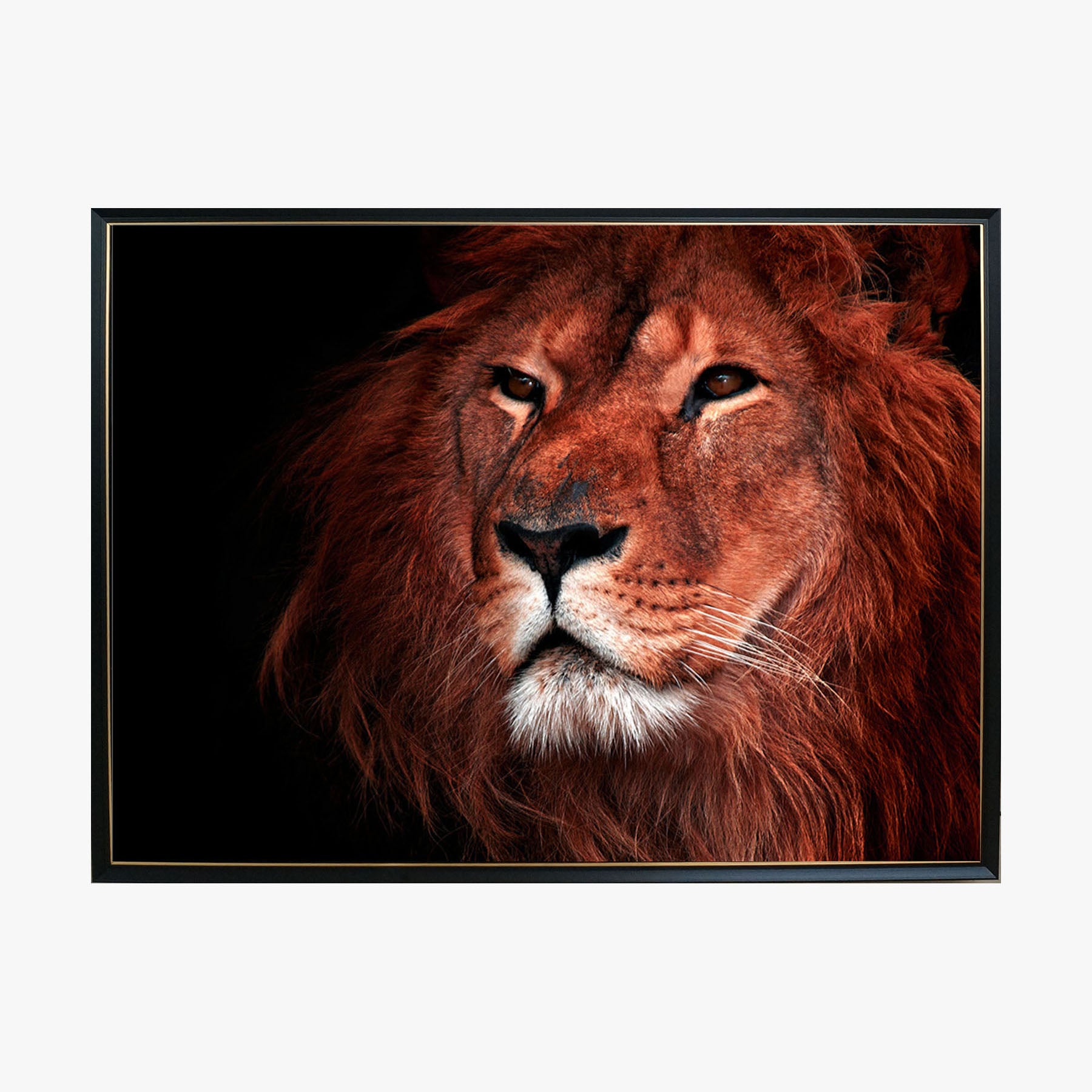 Crystal Painting - Lion