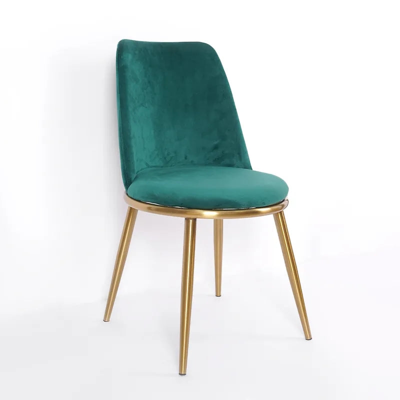 Fabled Modern Velvet Dining Chair High Back Upholstered Side Chair in Gold Legs Set of 2