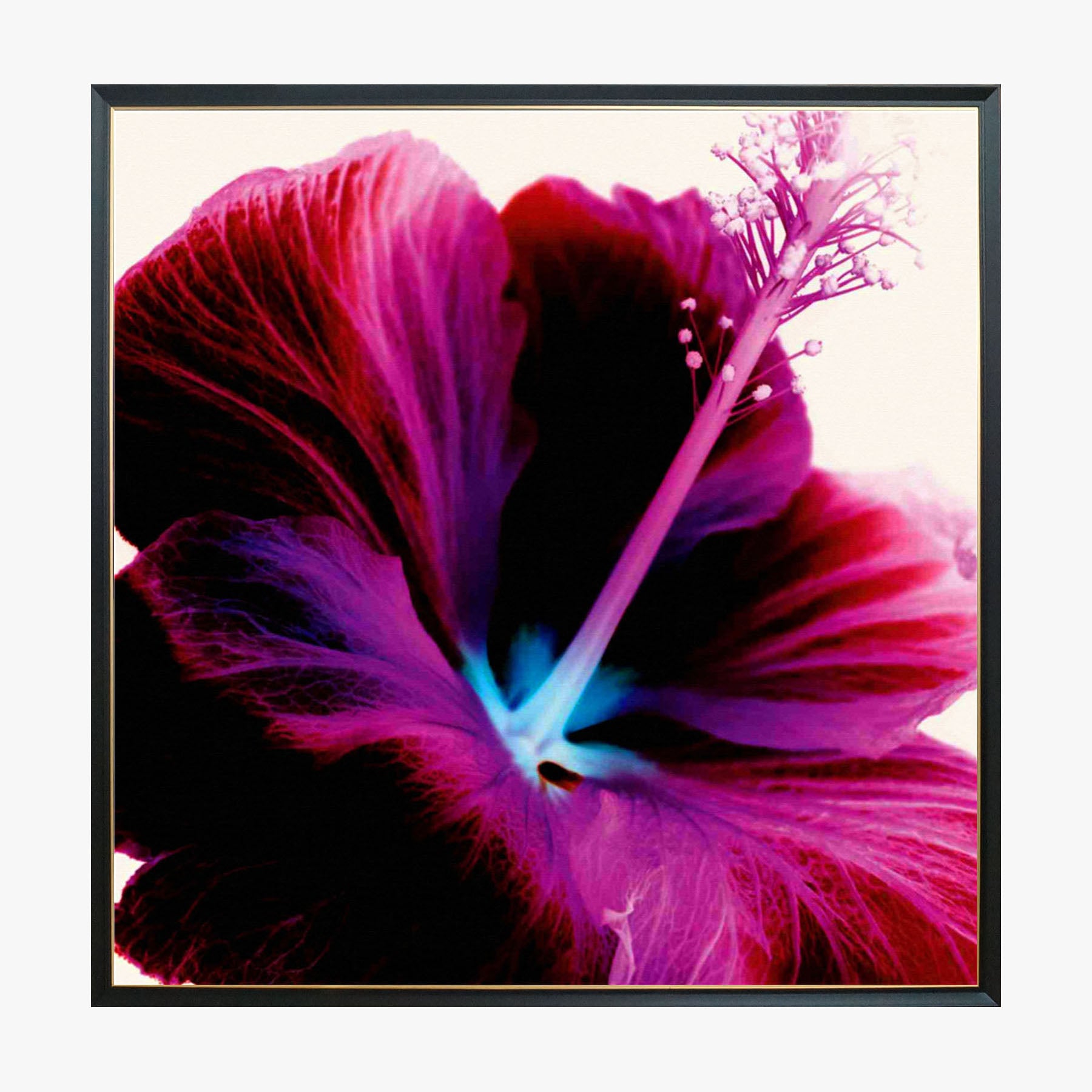 Crystal Painting - Hibiscus - Collection