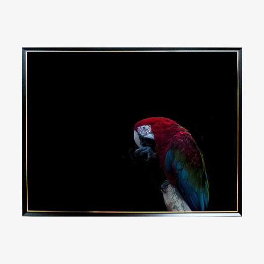 Crystal Painting - Macaw