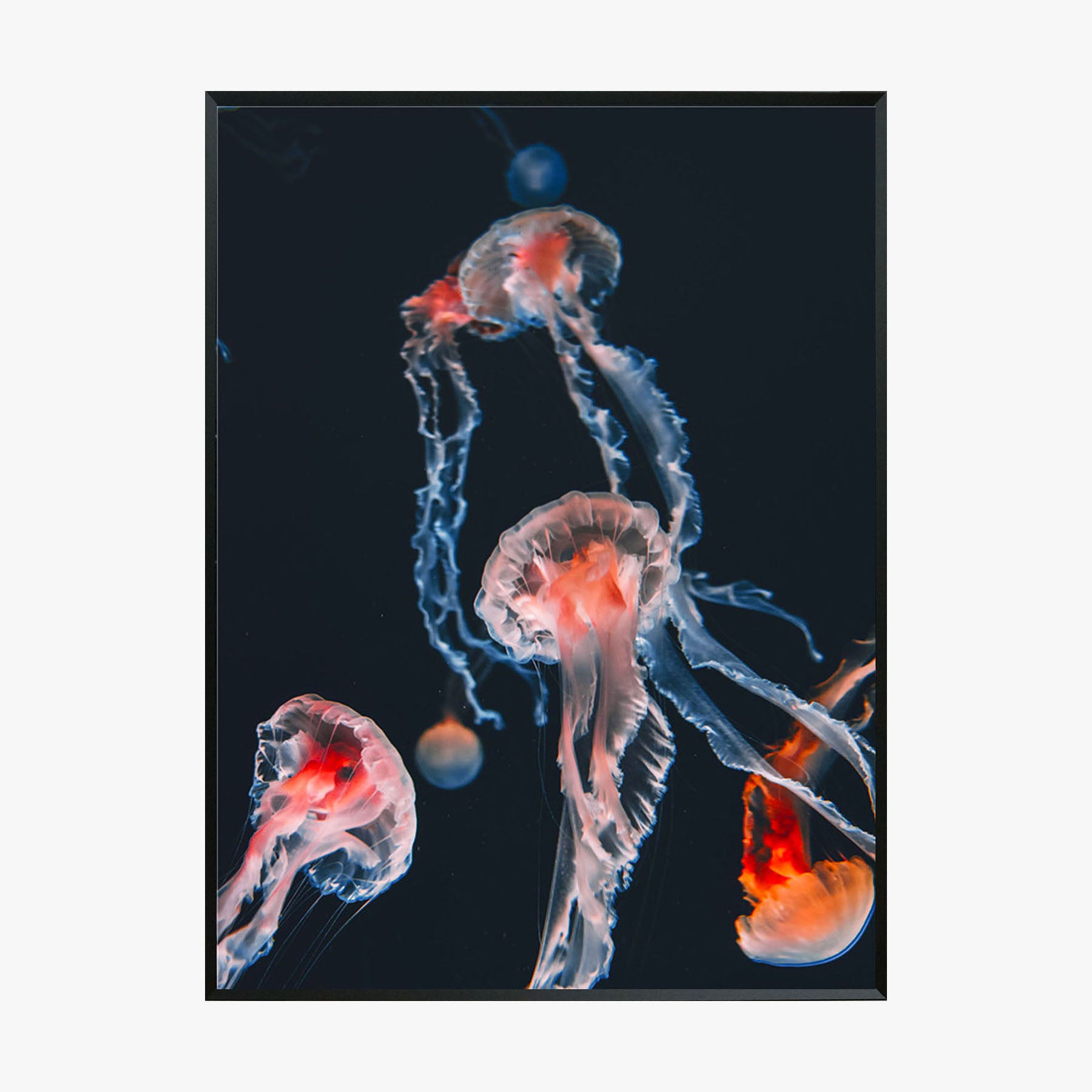 Crystal Painting - Transparent Jellyfish
