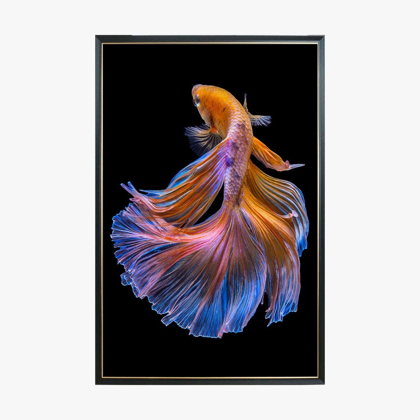 Crystal Painting - Red Goldfish