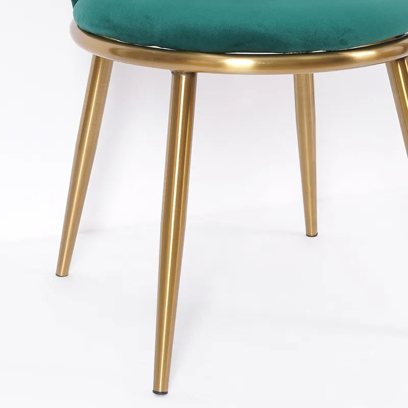 Fabled Modern Velvet Dining Chair High Back Upholstered Side Chair in Gold Legs Set of 2