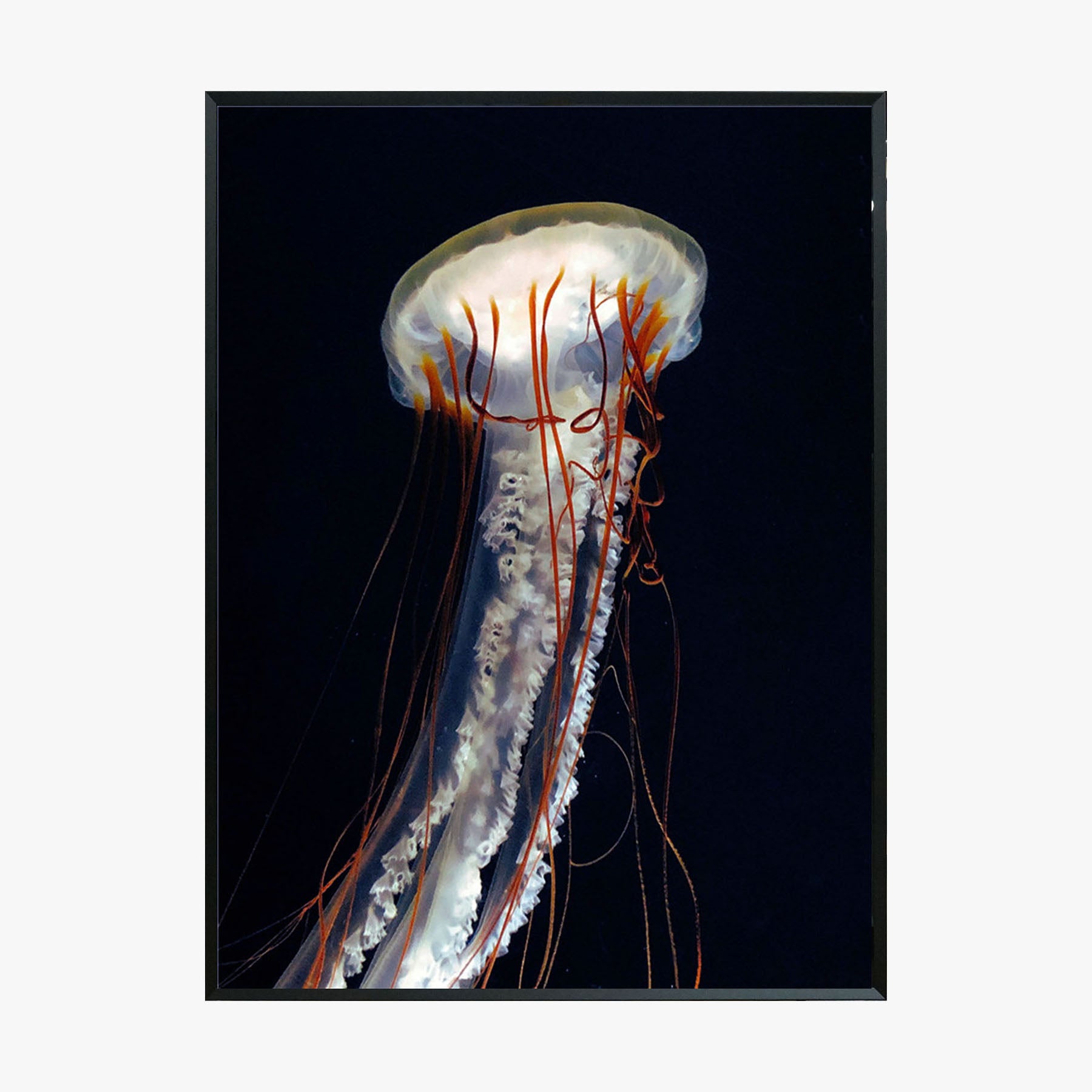 Crystal Painting - Transparent Jellyfish