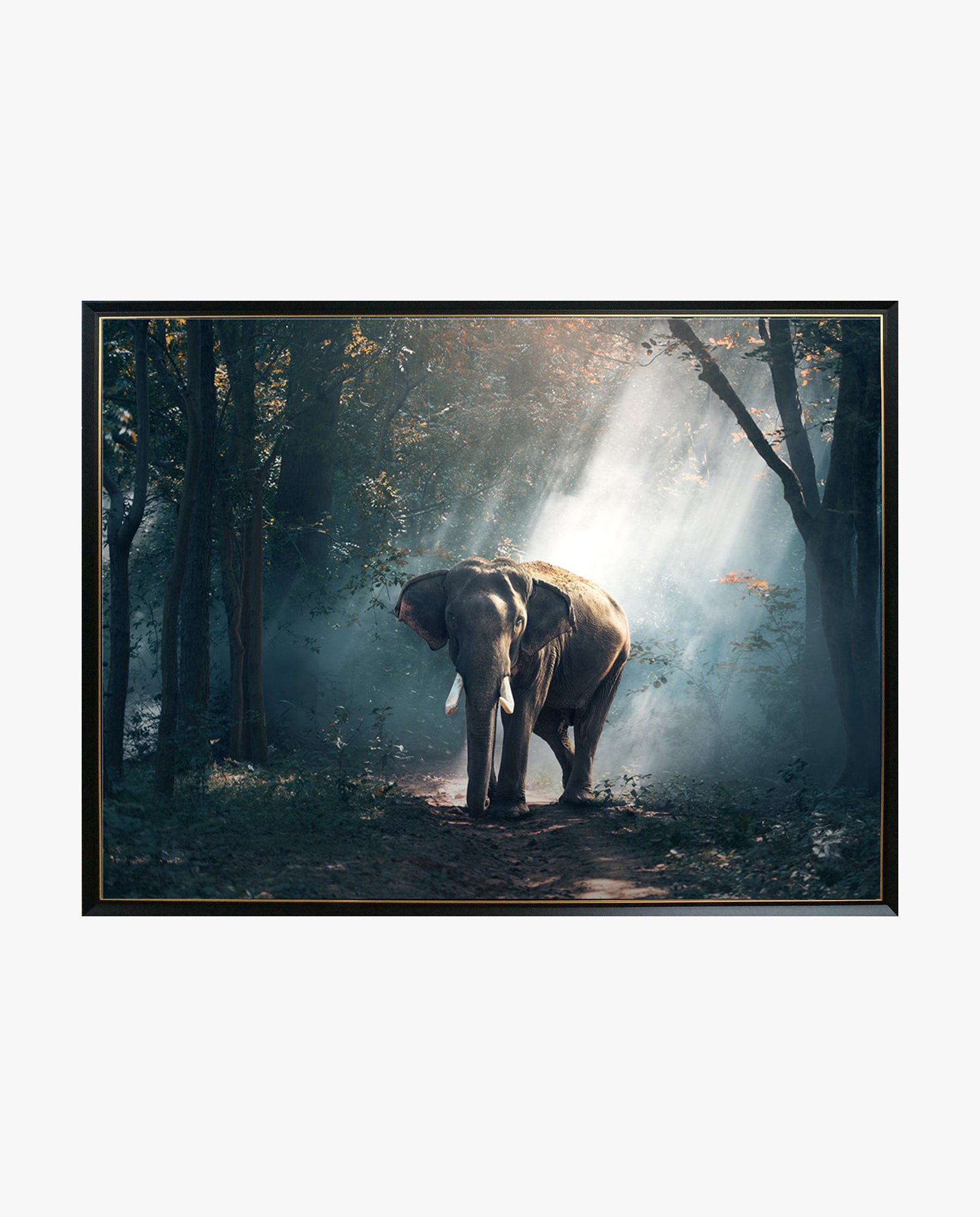 Crystal Painting - Elephant in the shade