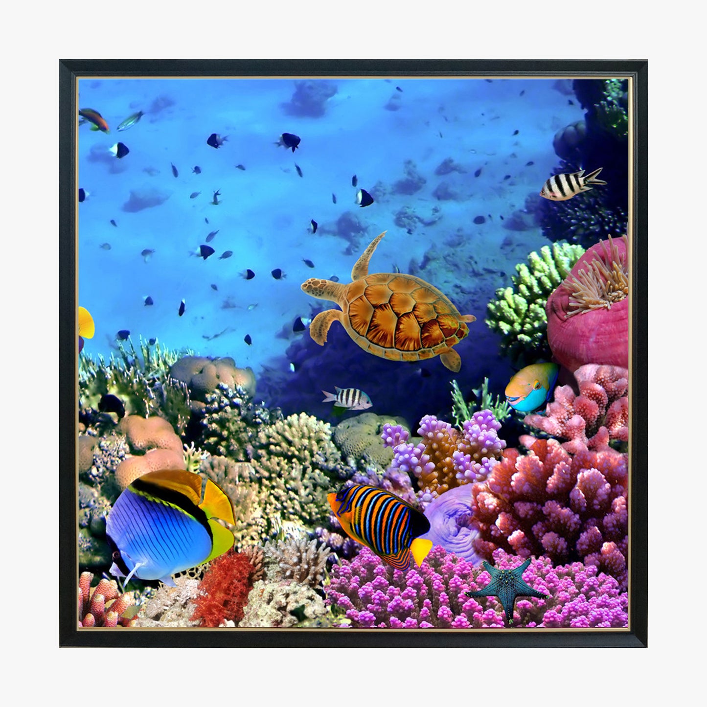Crystal Painting - Coral and Tropical Fish