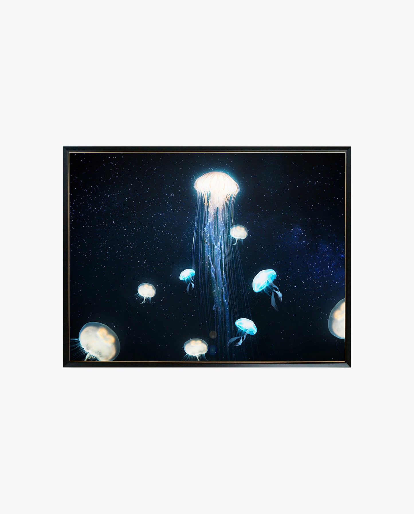 Crystal Painting - Jellyfish in Dark