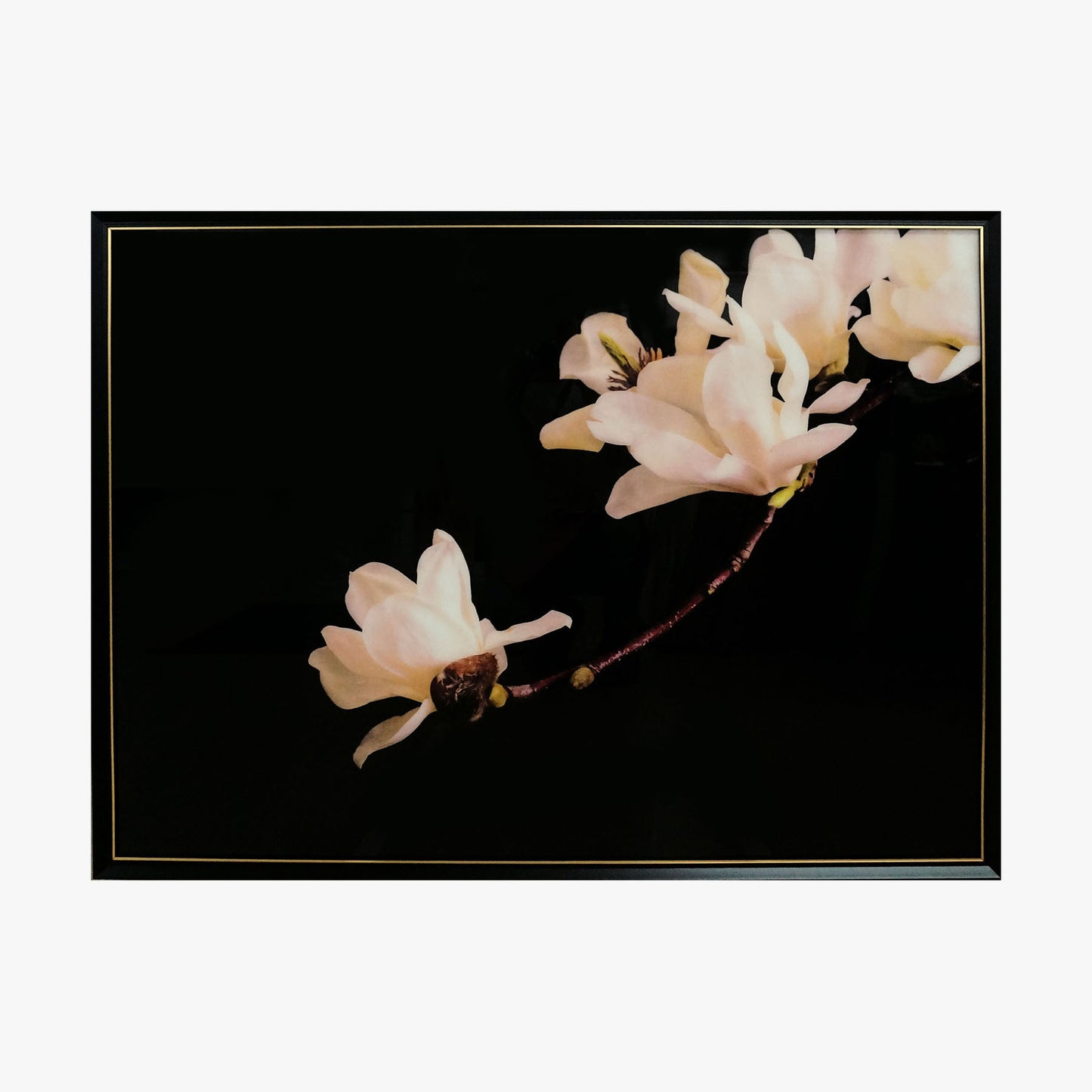 Crystal Painting - Magnolia Blossom in Dark