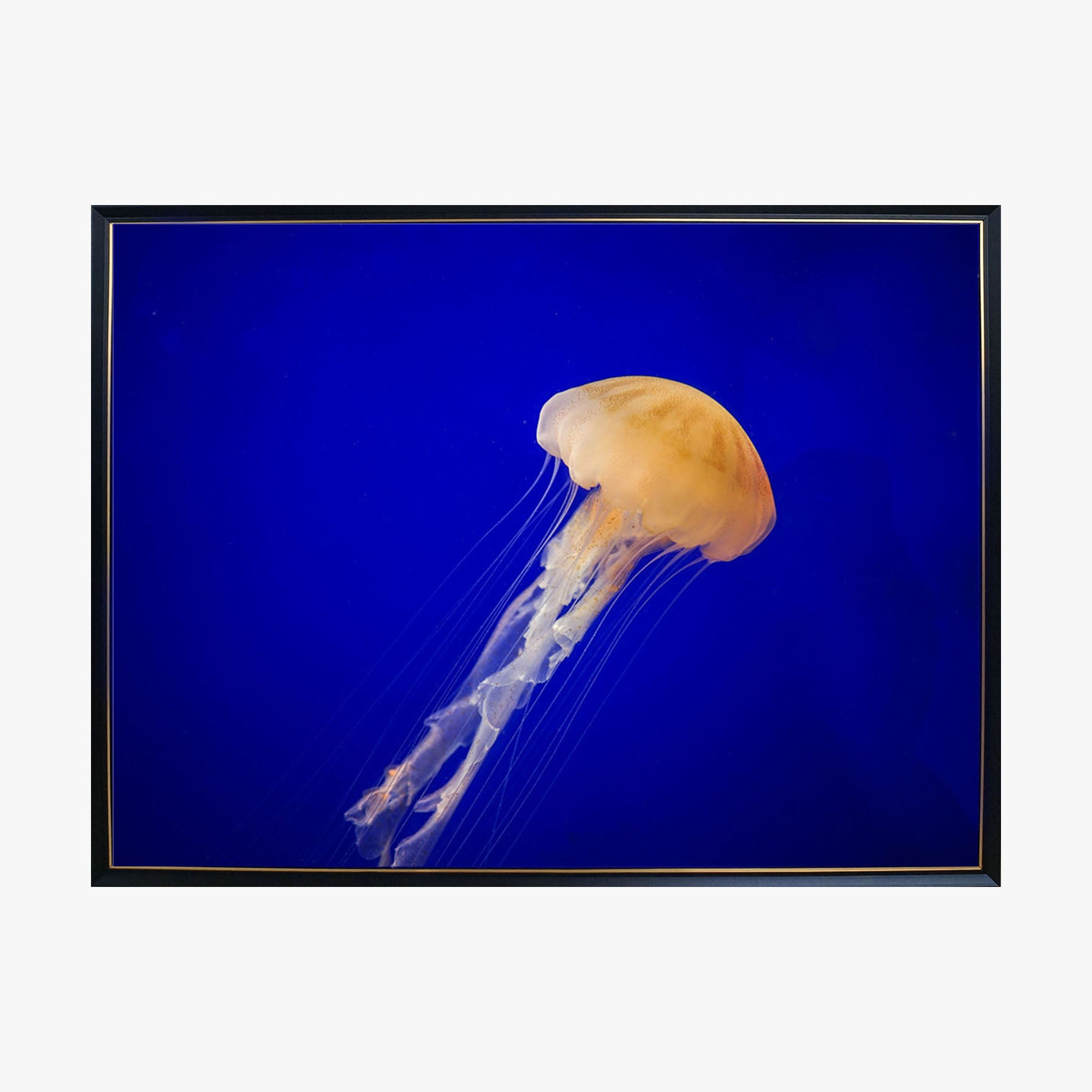 Crystal Painting - Jellyfish in Blue Ocean