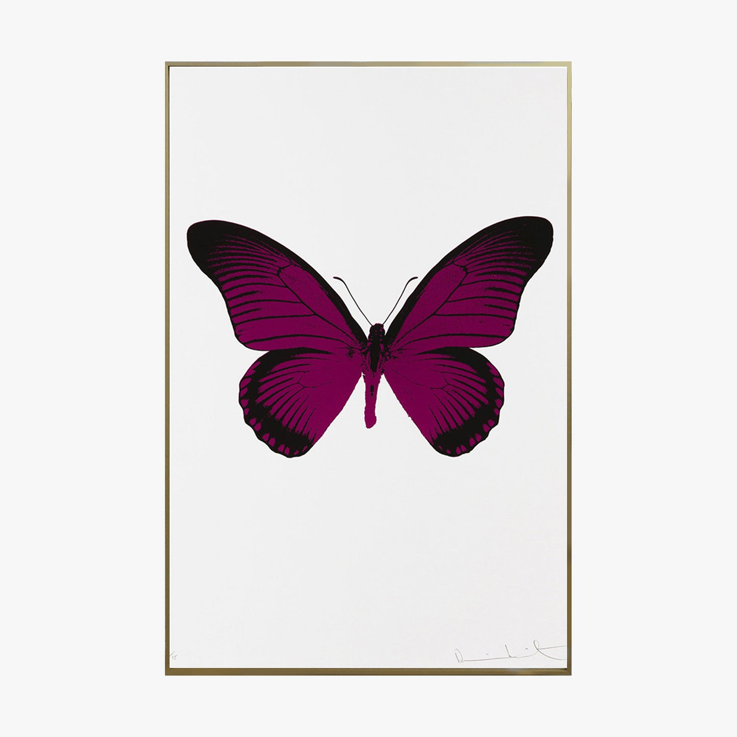 Crystal Painting - Butterfly Specimen