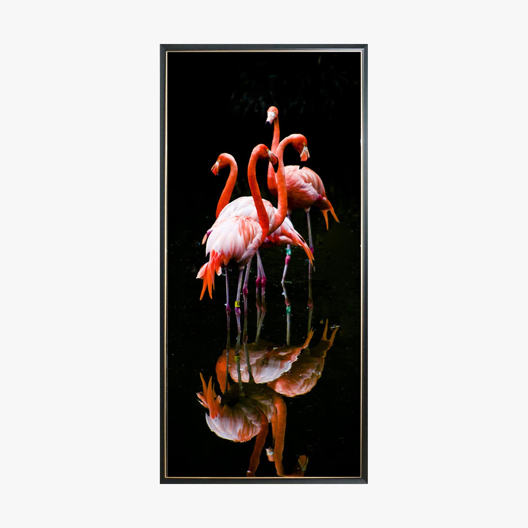 Crystal Painting - A Group of Flamingos in Dark