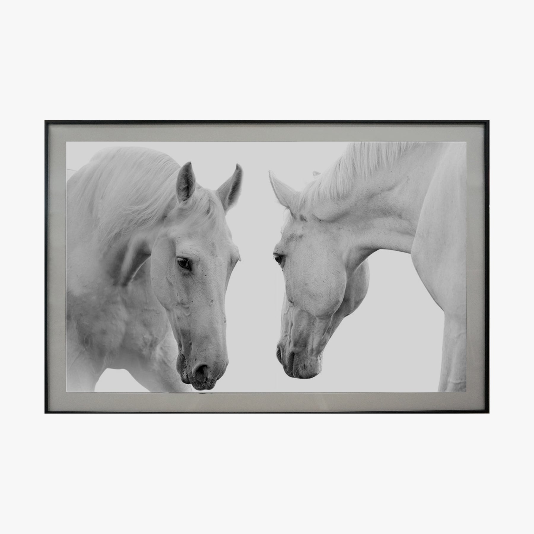 Crystal Painting - Horse, Black & White