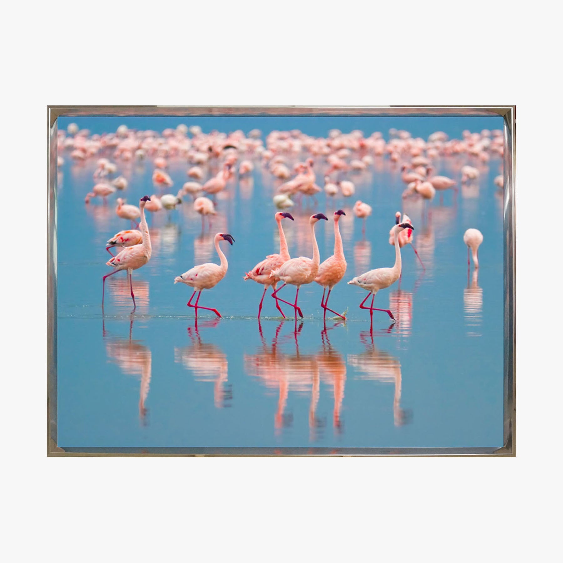 Crystal Painting - Pink Flamingo in the Lake