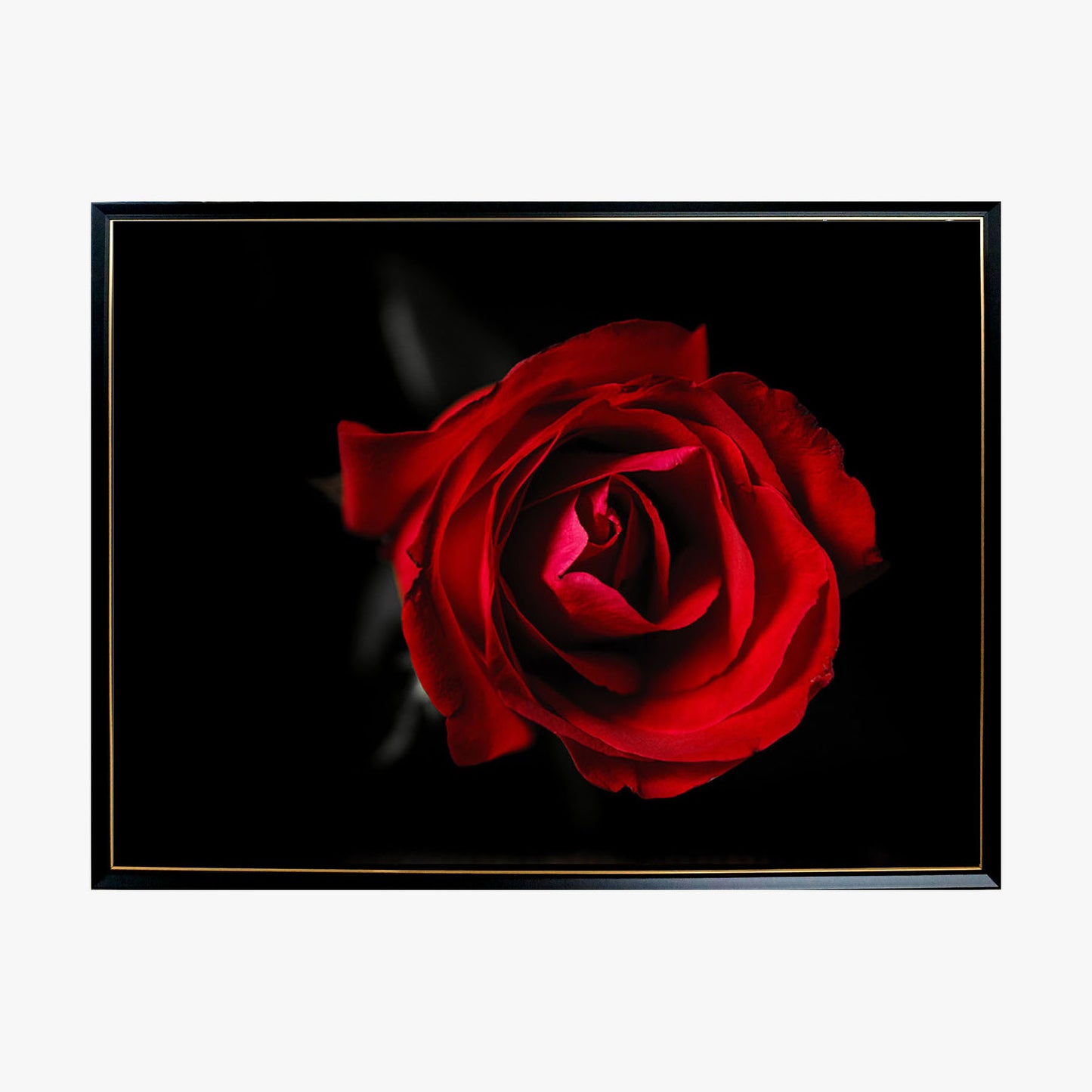 Crystal Painting - Rose in Dark